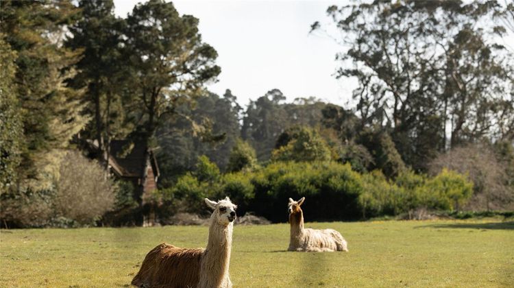 SCP Mendocino Inn and Farm Other