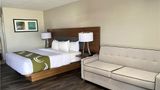 <b>SureStay Plus by Best Western Alamogordo Room</b>. Images powered by <a href="https://iceportal.shijigroup.com/" title="IcePortal" target="_blank">IcePortal</a>.
