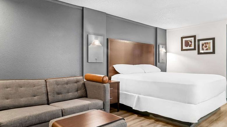 <b>Rodeway Inn and Suites Saginaw Suite</b>. Images powered by <a href="https://iceportal.shijigroup.com/" title="IcePortal" target="_blank">IcePortal</a>.