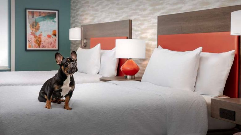 <b>Home2 Suites by Hilton Austin North Room</b>. Images powered by <a href="https://iceportal.shijigroup.com/" title="IcePortal" target="_blank">IcePortal</a>.
