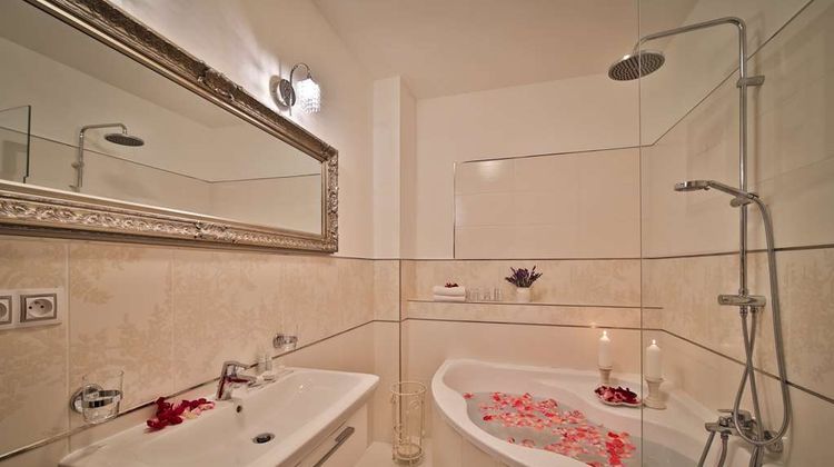 Romantic Hotel Mlyn Room