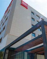 Ibis Lavras