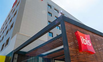 Ibis Lavras