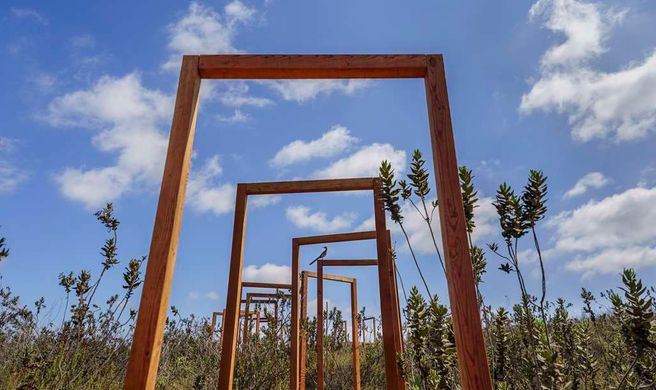Banyan Tree Veya, Valle de Guadalupe Exterior