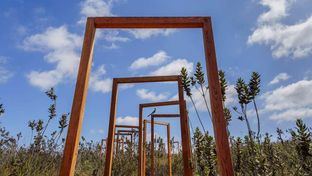 Banyan Tree Veya, Valle de Guadalupe