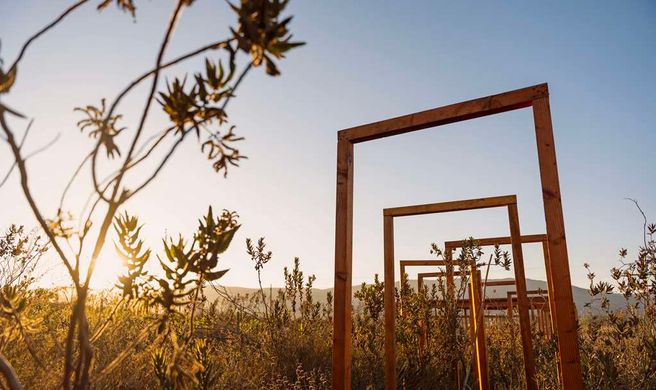 Banyan Tree Veya, Valle de Guadalupe Exterior