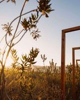 Banyan Tree Veya, Valle de Guadalupe
