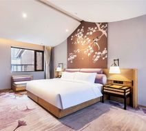 Swissotel Hot Spring Hotel Xi'an Xinxing Room