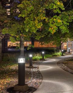 Hampton Inn & Stes Downers Grove Chicago