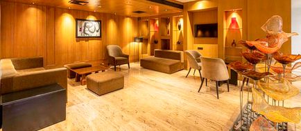 Svelte Delhi, Radisson Individuals Lobby