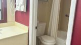 <b>Alachua Inn Room</b>. Images powered by <a href="https://iceportal.shijigroup.com/" title="IcePortal" target="_blank">IcePortal</a>.
