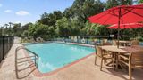 Alachua Inn Pool