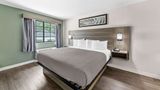 Quality Inn & Suites Room