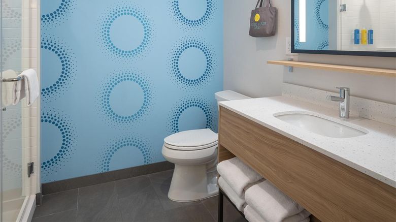 <b>Tru by Hilton Spring Hill Room</b>. Images powered by <a href="https://iceportal.shijigroup.com/" title="IcePortal" target="_blank">IcePortal</a>.