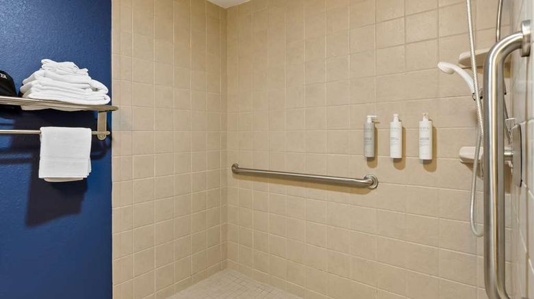 <b>Spark by Hilton Daleville Roanoke North Room</b>. Images powered by <a href="https://iceportal.shijigroup.com/" title="IcePortal" target="_blank">IcePortal</a>.