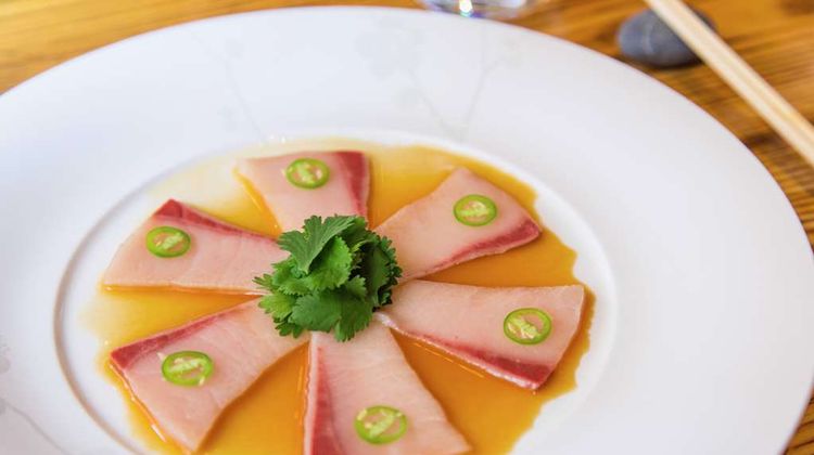 Nobu Hotel Toronto Other