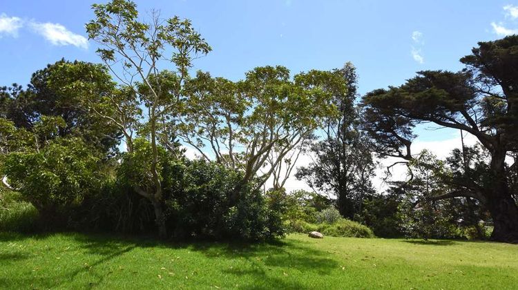 Waimea Country Lodge Other