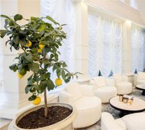 Hotel Tresor Lobby