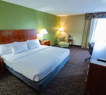 Quality Inn & Suites Downtown Mansfield Room
