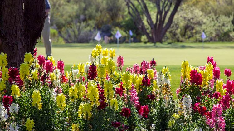 The Lodge at Ventana Canyon Recreation
