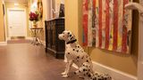 The Kendall Hotel Lobby