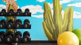 Graduate by Hilton Tucson Health
