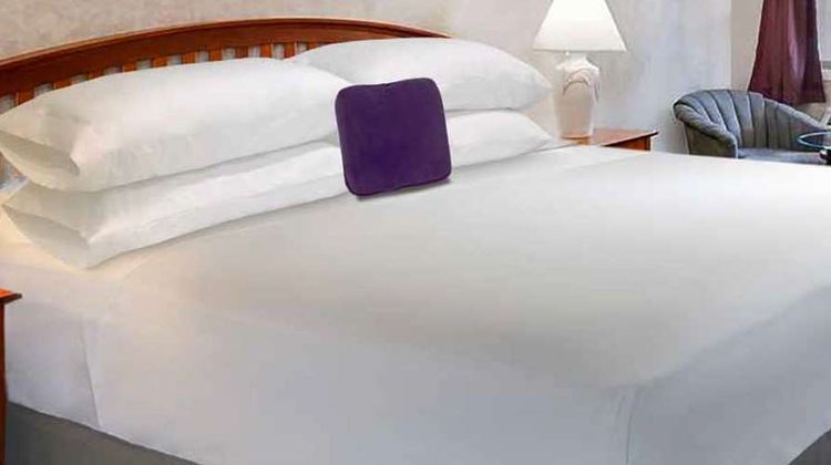 Motel 6 Houston Downtown North Room