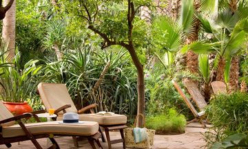 Les Jardins de la Medina