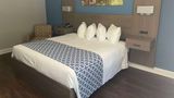 <b>Wingate by Wyndham Columbia/Fort Jackson Room</b>. Images powered by <a href="https://iceportal.shijigroup.com/" title="IcePortal" target="_blank">IcePortal</a>.