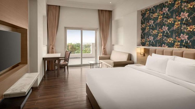 Jasraj Palace Yavatmal Hotel-Radisson Room