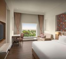 Jasraj Palace Yavatmal Hotel-Radisson Room