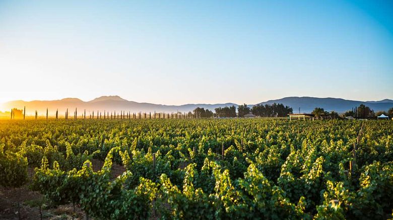 <b>El Cielo Winery & Resort Other</b>. Images powered by <a href="https://iceportal.shijigroup.com/" title="IcePortal" target="_blank">IcePortal</a>.
