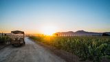 <b>El Cielo Winery & Resort Other</b>. Images powered by <a href="https://iceportal.shijigroup.com/" title="IcePortal" target="_blank">IcePortal</a>.