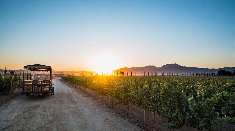 <b>El Cielo Winery & Resort Other</b>. Images powered by <a href="https://iceportal.shijigroup.com/" title="IcePortal" target="_blank">IcePortal</a>.