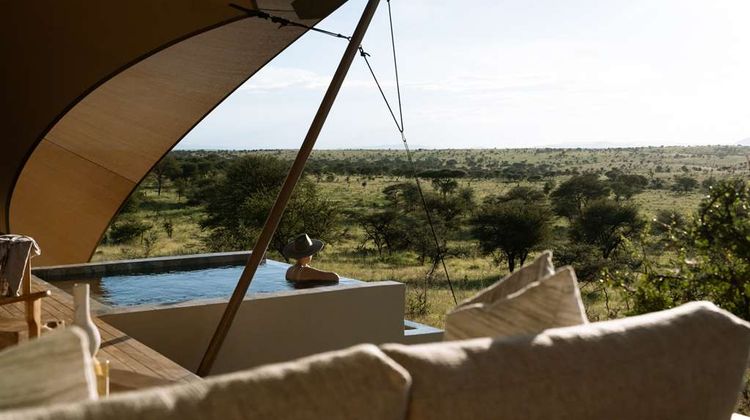 Seronera Wildlife Lodge Suite