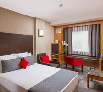 Nippon Hotel Room