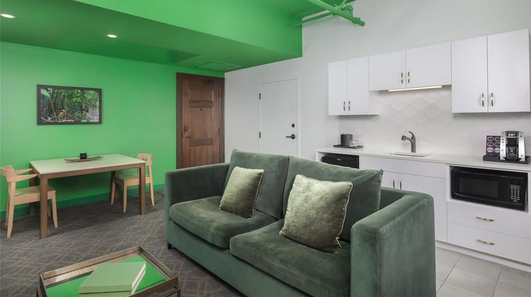 Angad Arts Hotel St. Louis Other