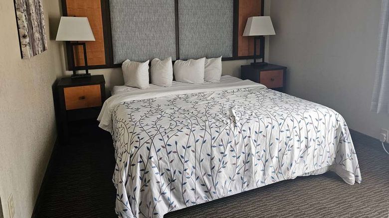 <b>Americinn by Wyndham Birch Run Room</b>. Images powered by <a href="https://iceportal.shijigroup.com/" title="IcePortal" target="_blank">IcePortal</a>.