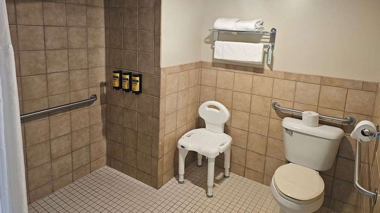 <b>Americinn by Wyndham Birch Run Room</b>. Images powered by <a href="https://iceportal.shijigroup.com/" title="IcePortal" target="_blank">IcePortal</a>.