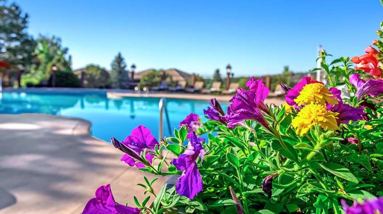 Cheyenne Mountain Resort Pool