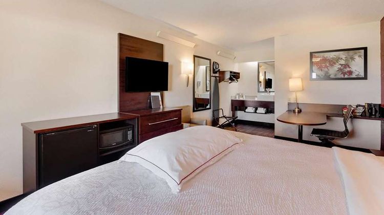 Super 8 by Wyndham Deerfield/Northbrook Room
