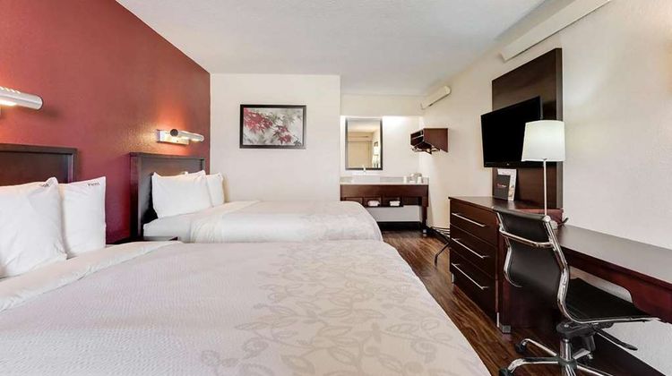 Super 8 by Wyndham Deerfield/Northbrook Room