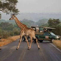 Kruger Gate Hotel