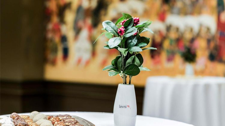 Levni Hotel Istanbul Meeting
