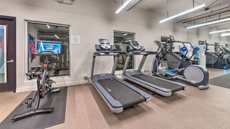 The District at Hogg Palace Health