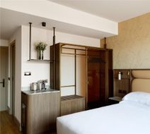 Hyatt Regency Rome Central Room