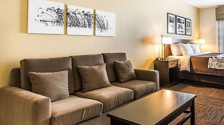 <b>Wingate by Wyndham Jonesboro Room</b>. Images powered by <a href="https://iceportal.shijigroup.com/" title="IcePortal" target="_blank">IcePortal</a>.