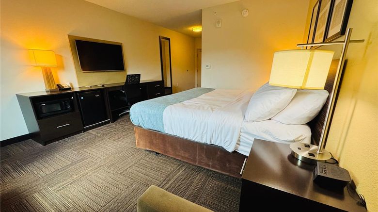 <b>Wingate by Wyndham Jonesboro Room</b>. Images powered by <a href="https://iceportal.shijigroup.com/" title="IcePortal" target="_blank">IcePortal</a>.