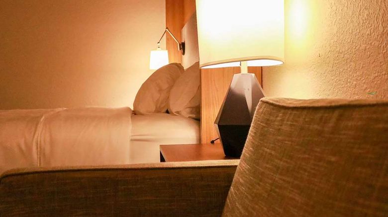 <b>Wyndham Flint Grand Blanc Room</b>. Images powered by <a href="https://iceportal.shijigroup.com/" title="IcePortal" target="_blank">IcePortal</a>.