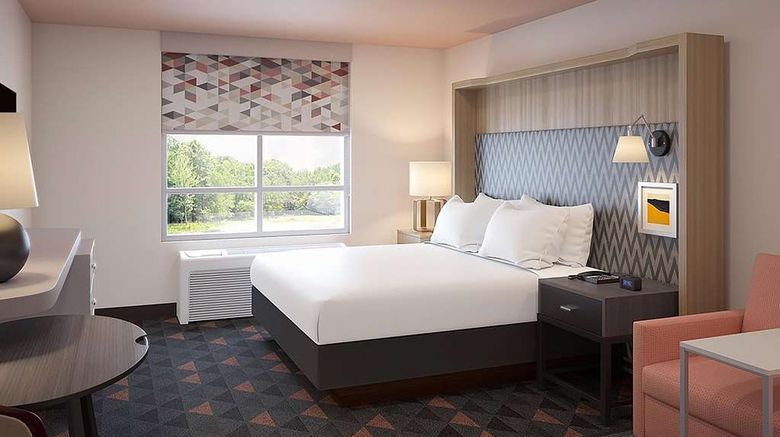 <b>Wyndham Flint Grand Blanc Room</b>. Images powered by <a href="https://iceportal.shijigroup.com/" title="IcePortal" target="_blank">IcePortal</a>.